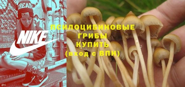 сатива Медвежьегорск