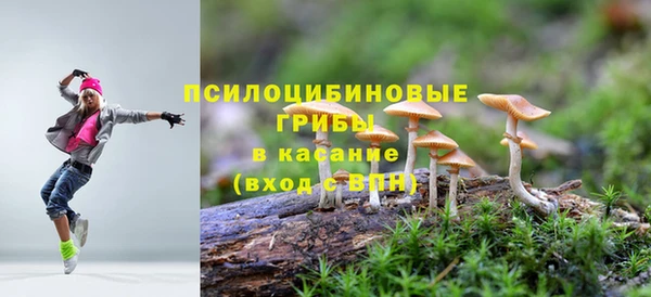 сатива Медвежьегорск