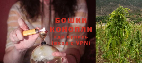 сатива Медвежьегорск